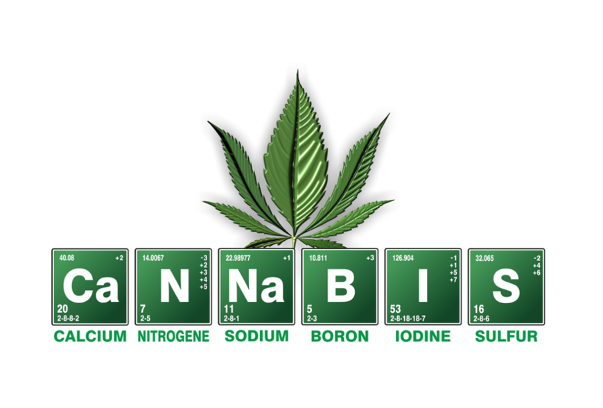 Cannabis by Kyrnos Pixabay